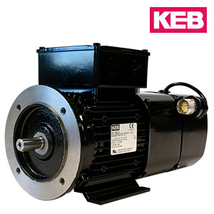 induction vector motor encoder